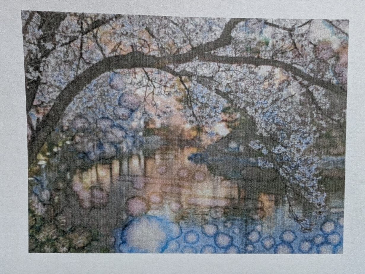 第24回　許　廷任　（ホ・ジョンイム）個展 　　　　　　　　　　　　　『韓国、日本　風景』開催