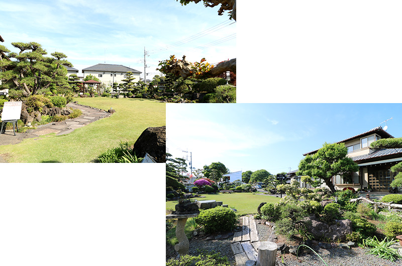 広々とした日本庭園